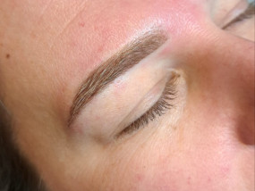  tinted Hybrid Brow lamination Brow shaping wenkbrauwen permanente makeup browmapping powder brow powderbrows 