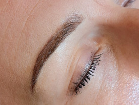  tinted Hybrid Brow lamination Brow shaping wenkbrauwen permanente makeup browmapping powder brow powderbrows 