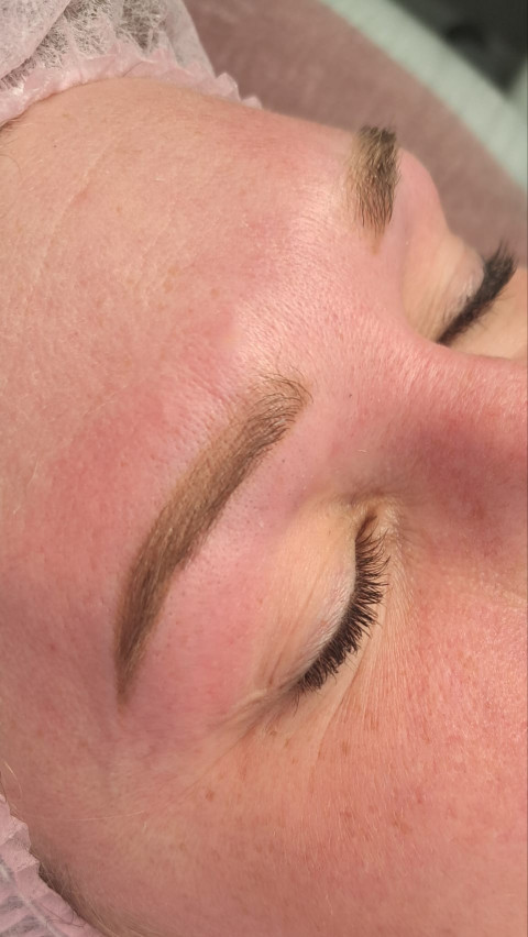 tinted Hybrid Brow lamination Brow shaping wenkbrauwen permanente makeup browmapping powder brow powderbrows 